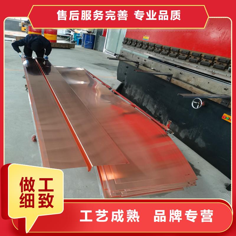 W型止水铜片工厂直销