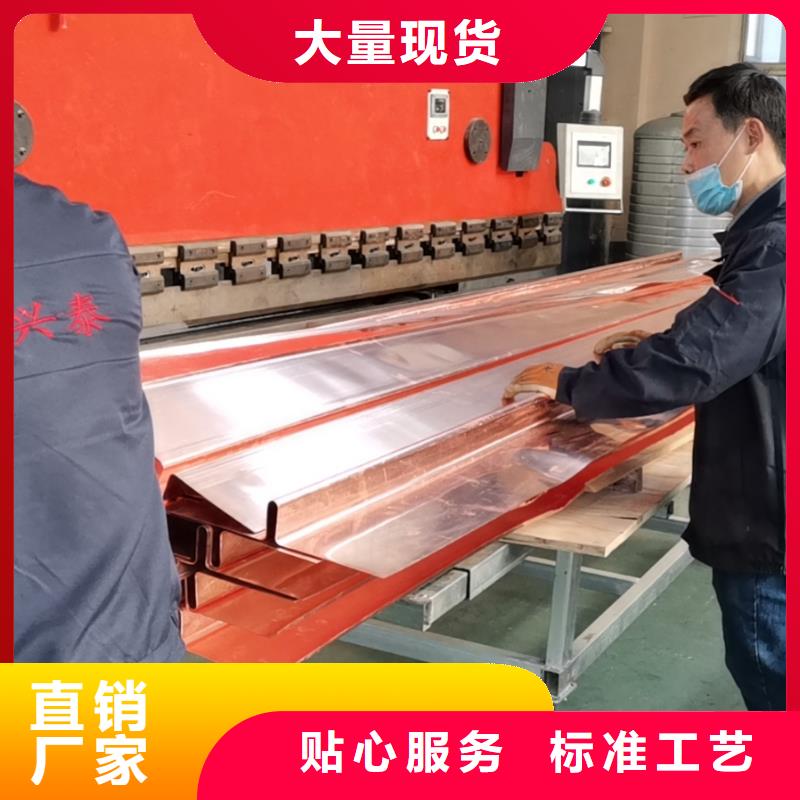 止水铜片厂家直销
