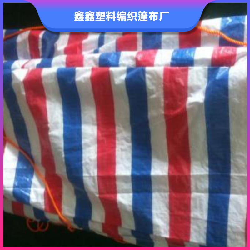彩条布_防水防雨布厂性价比高
