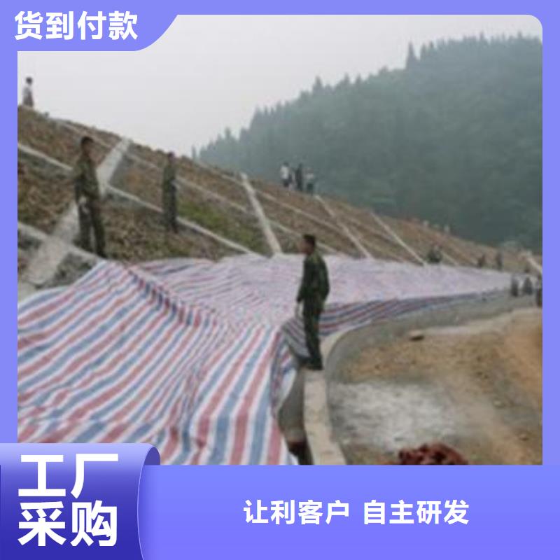 【 彩条布 塑料雨布厂场行情】_鑫鑫塑料编织篷布厂(泸州市分公司)