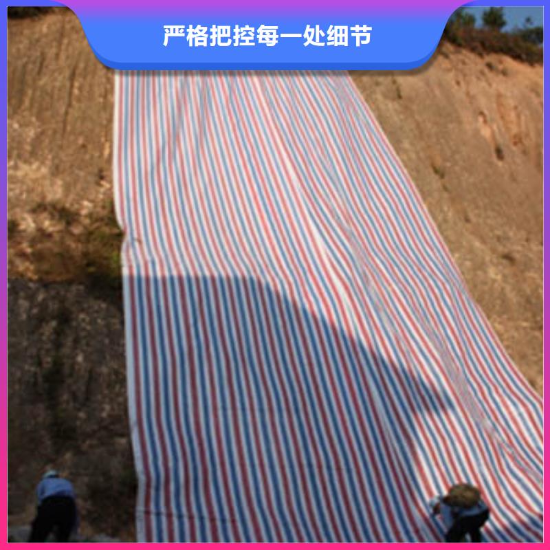 彩条布【pe防雨布制造厂】性能稳定
