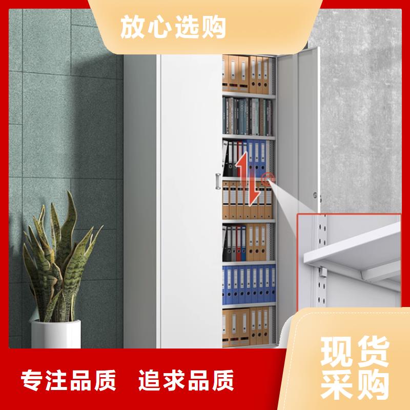 文件柜更衣柜,文件柜实地大厂