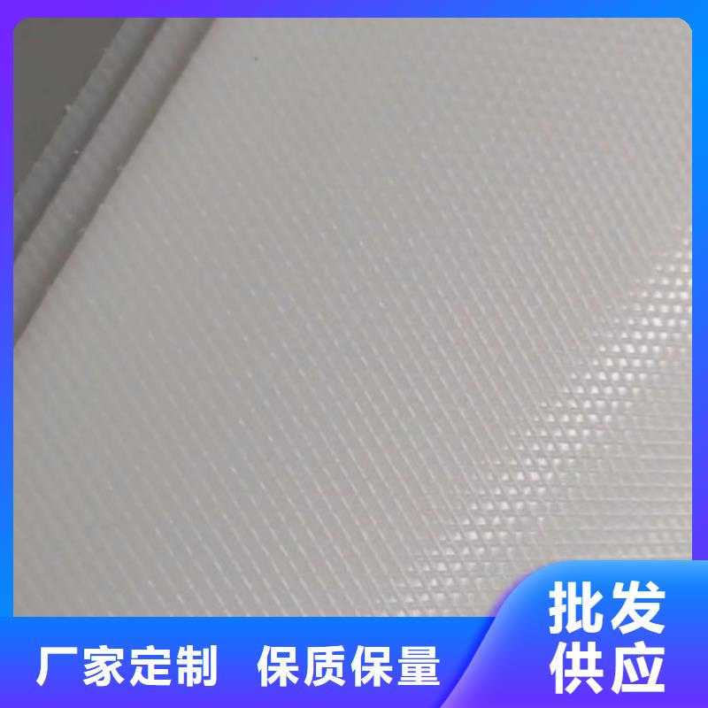 叉车推拉器塑料滑板-轻型输送带贴心服务
