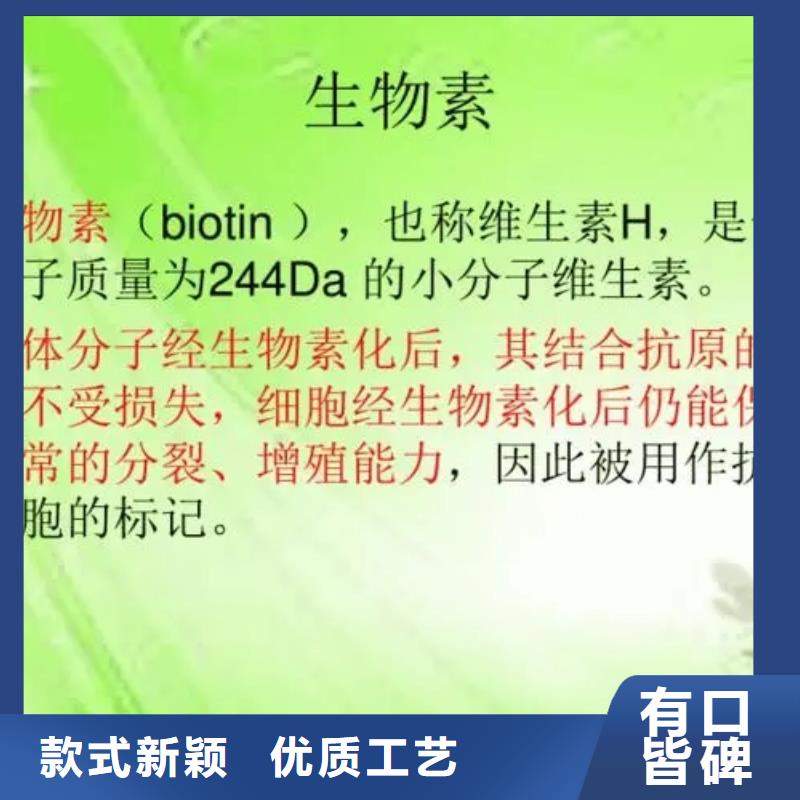 维生素H厂家
