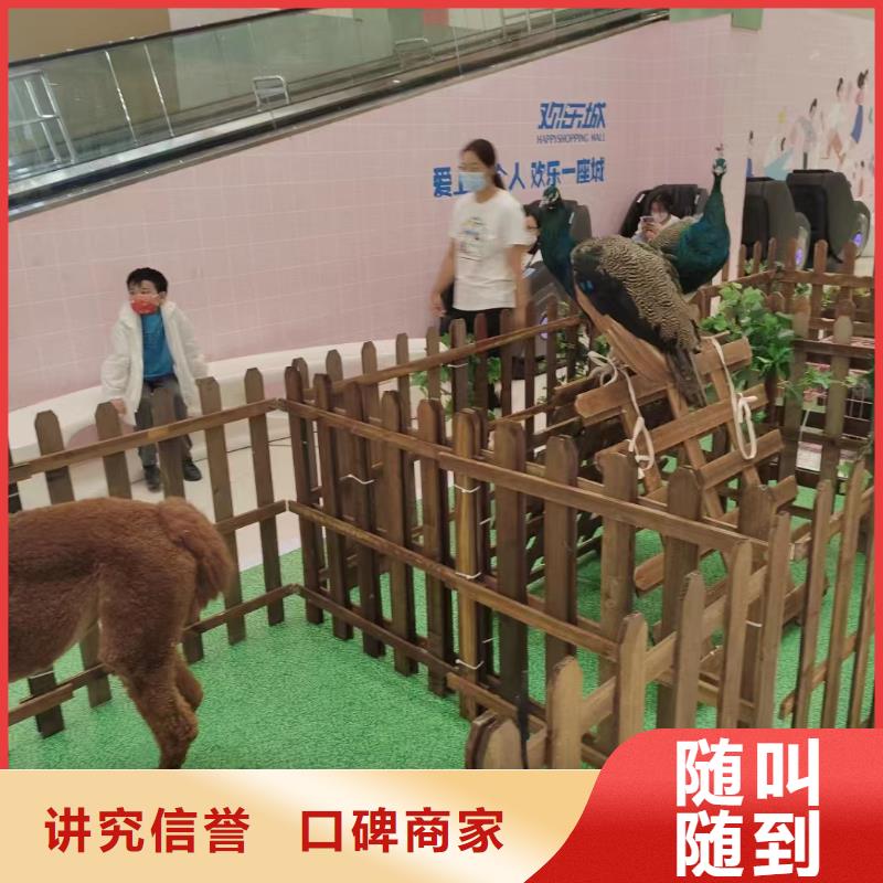 马戏团/羊驼-马戏团表演多家服务案例