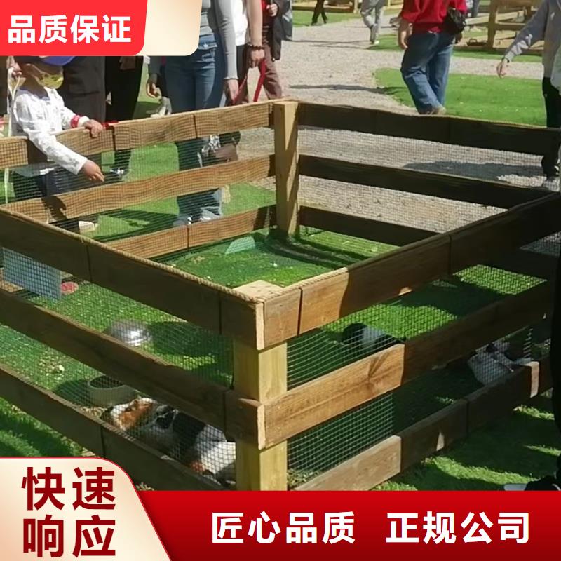 马戏团/羊驼动物表演多年经验