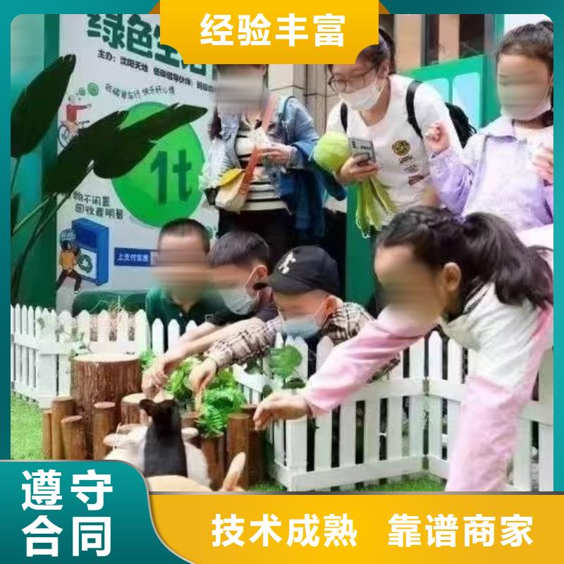 马戏团/羊驼_动物展览秀精英团队