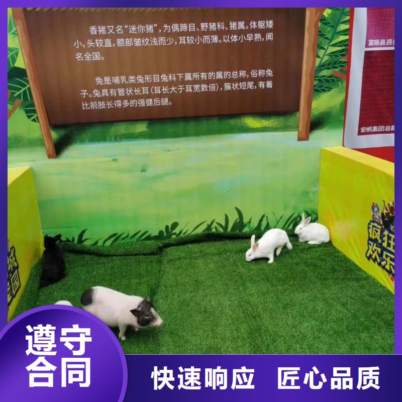 马戏团/羊驼出租表演海狮实力公司