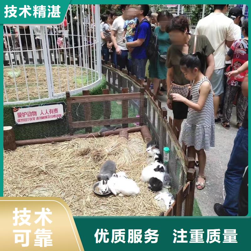 马戏团/羊驼 环球飞车表演出租快捷
