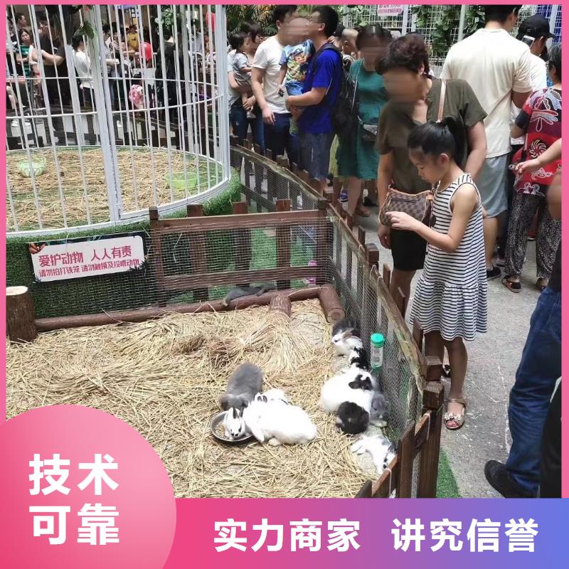 动物马戏团表演出租活动案例