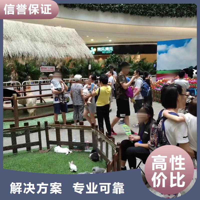 马戏团/羊驼马戏团表演出租租赁技术比较好