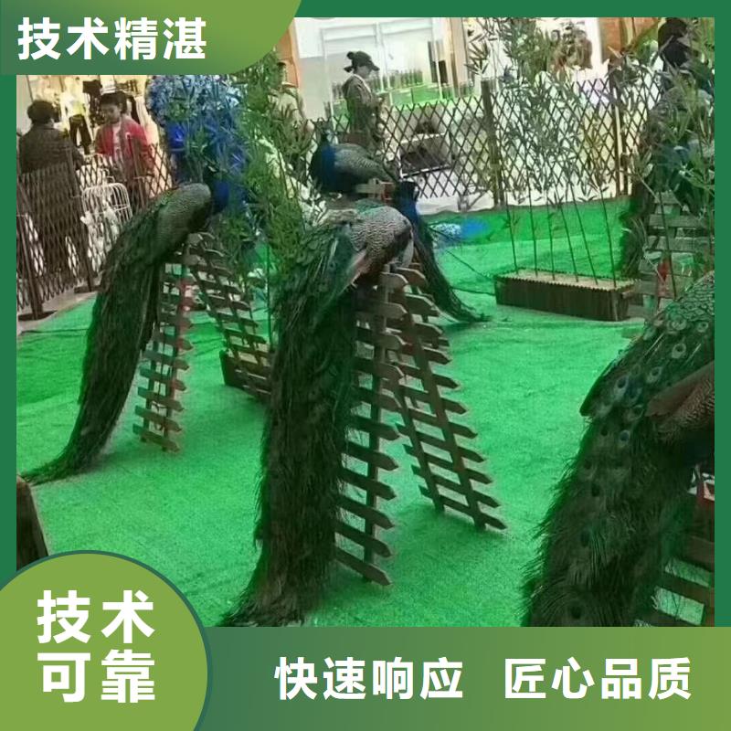 马戏团/羊驼海狮表演出租2025专业的团队