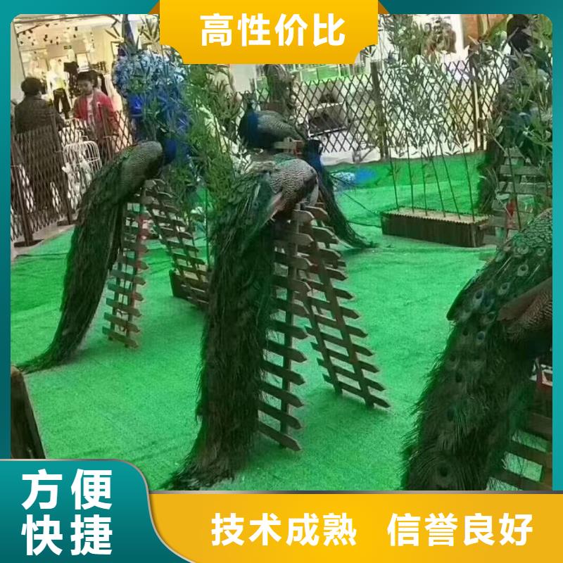 马戏团/羊驼马戏团表演出租租赁技术比较好