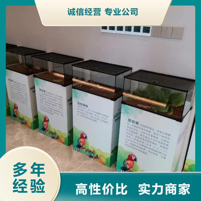 马戏团/羊驼【海狮租赁表演】从业经验丰富