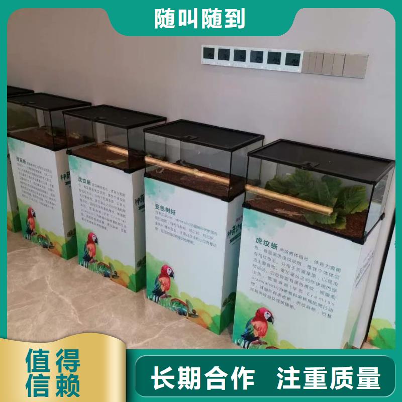 马戏团/羊驼【鹦鹉表演】实力强有保证