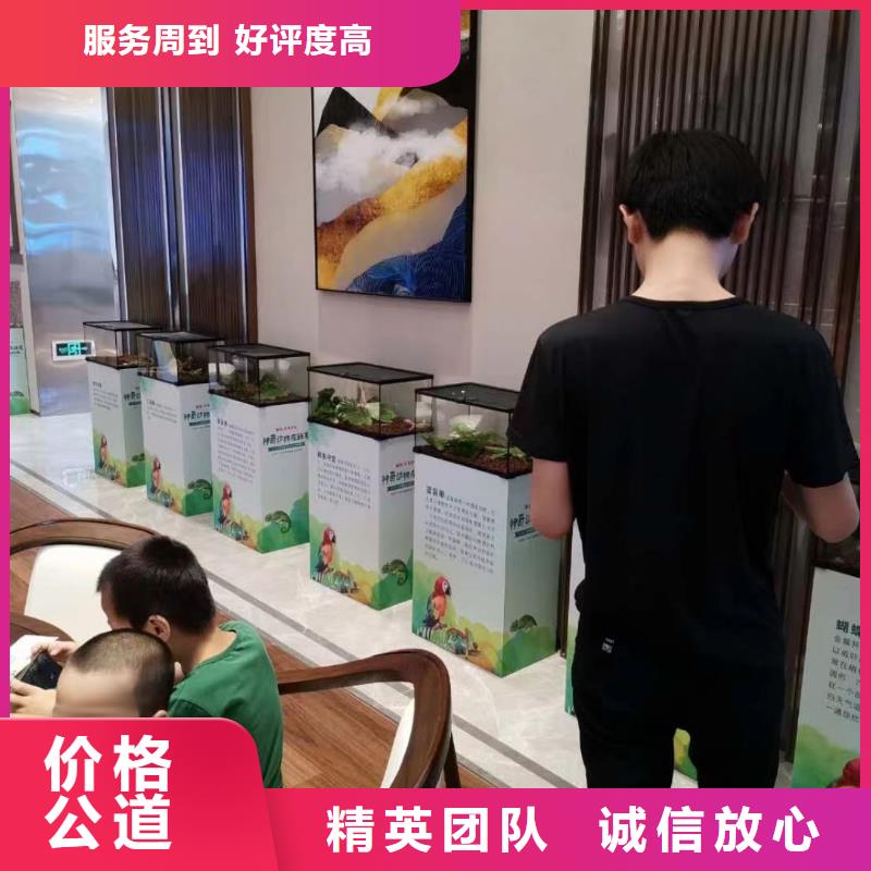 马戏团/羊驼马戏团表演出租租赁技术比较好