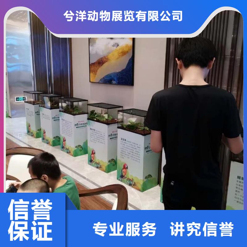 【马戏团/羊驼动物表演2025公司精心】