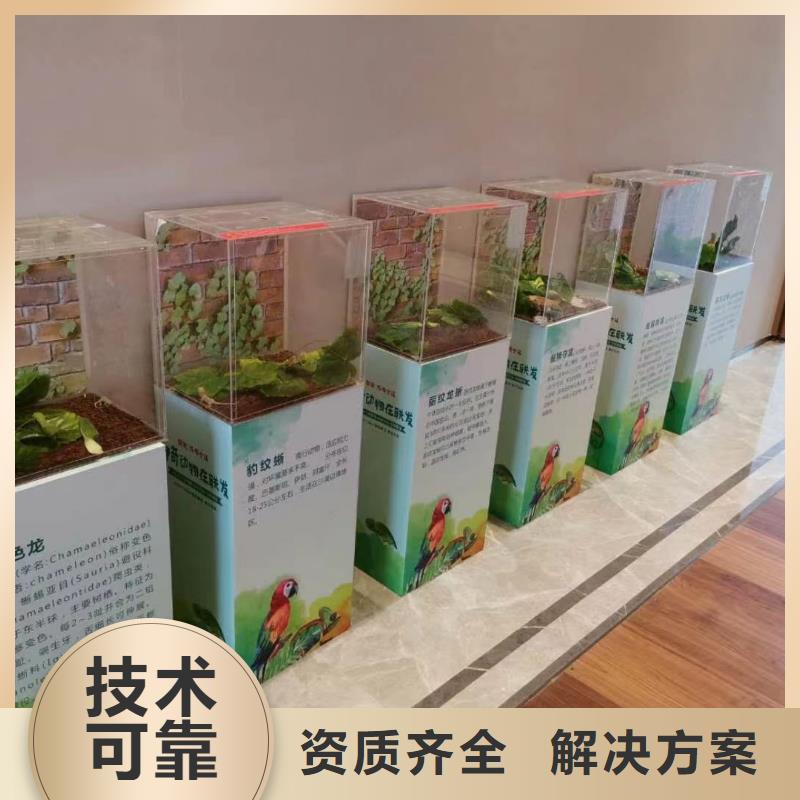 马戏团/羊驼企鹅租赁正规
