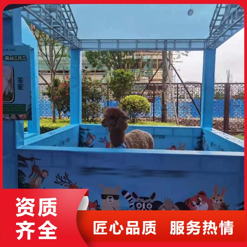 马戏团/羊驼_海狮表演出租专业团队