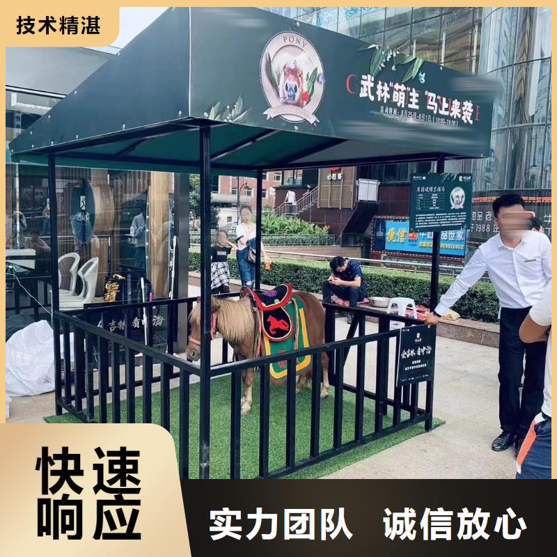 马戏团/羊驼-【海狮表演】欢迎合作