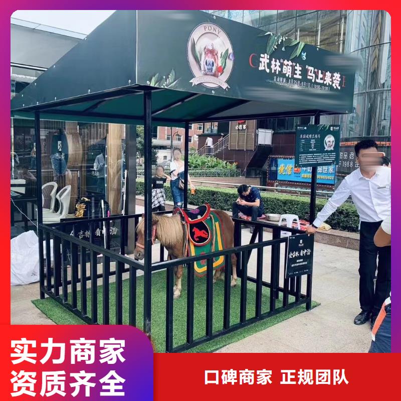 货源【马戏团/羊驼 海狮表演出租诚信放心】