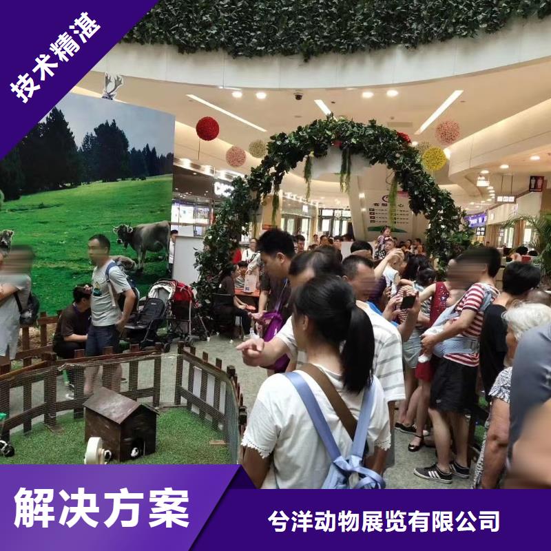 马戏团/羊驼水族海洋展欢迎合作