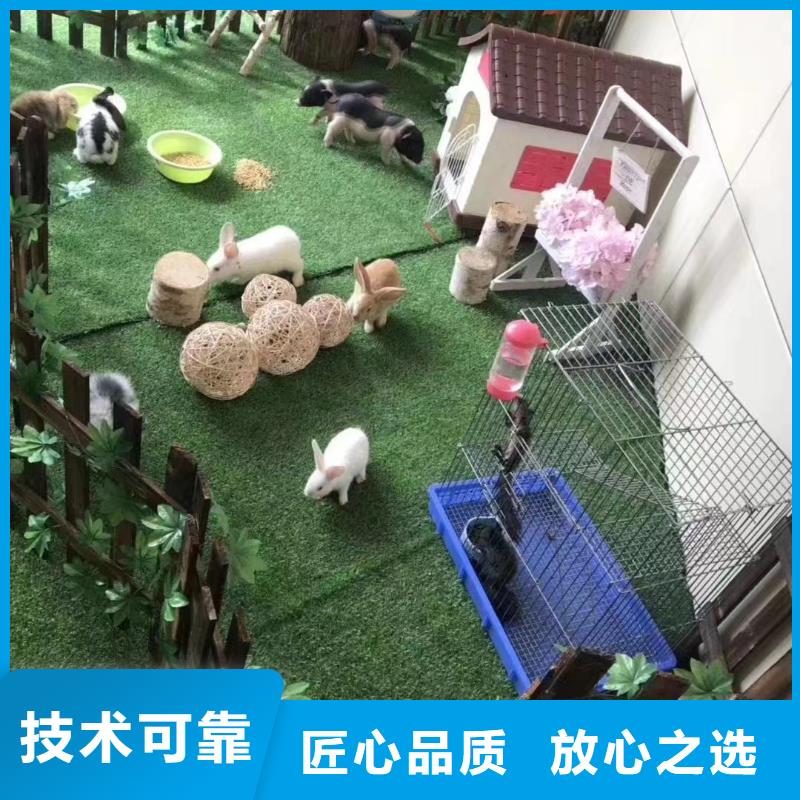 马戏团/羊驼 环球飞车表演出租快捷