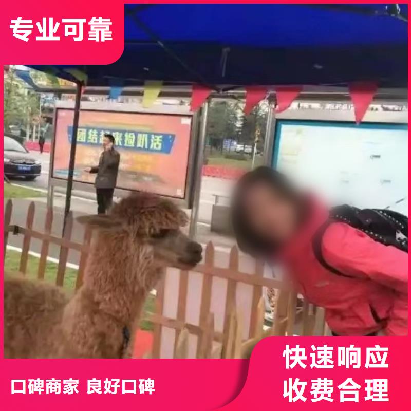 马戏团/羊驼马戏表演良好口碑
