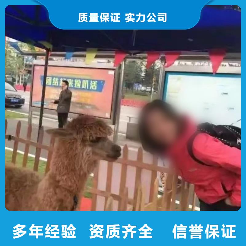 马戏团/羊驼【海狮租赁表演】实力商家