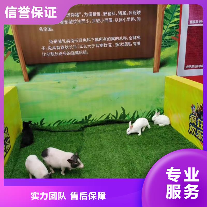 马戏团/羊驼羊驼出租讲究信誉