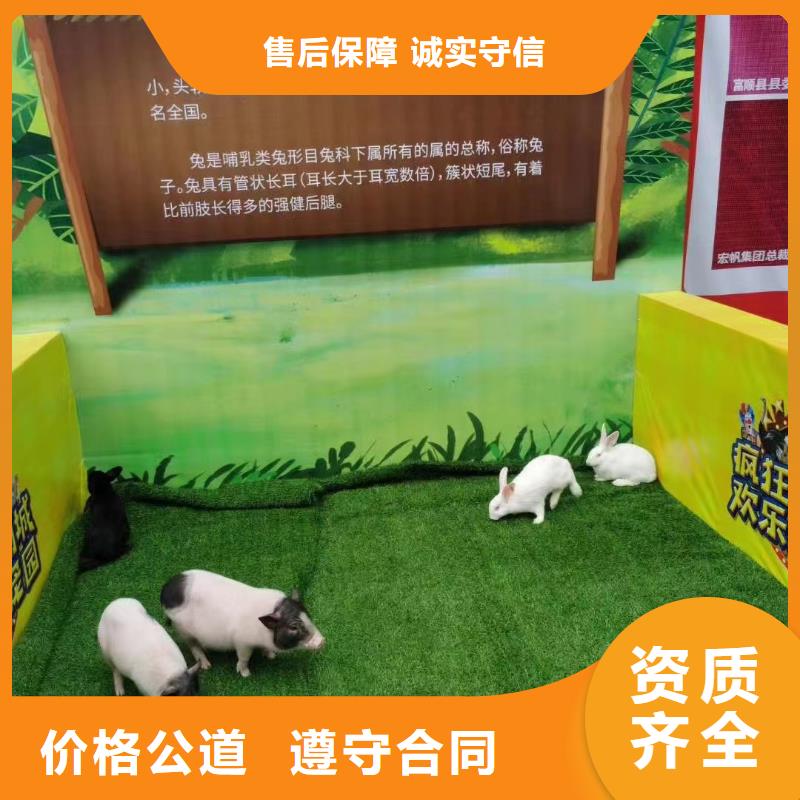 马戏团/羊驼 出租动物表演高性价比