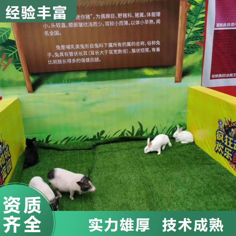 马戏团/羊驼 小香猪宠物出租快速