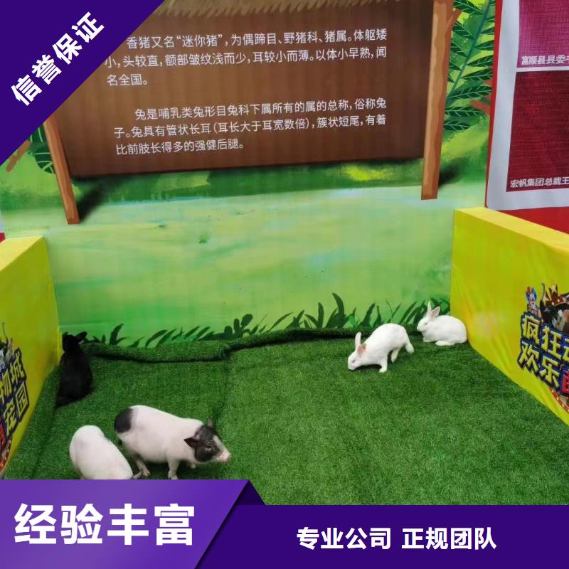 马戏团/羊驼-鹦鹉表演租赁从业经验丰富
