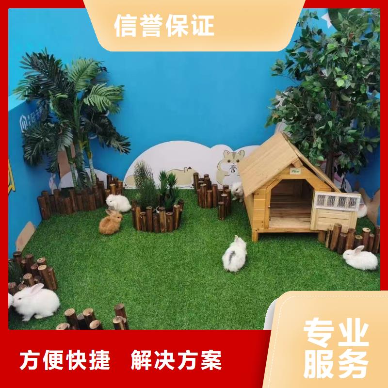 马戏团/羊驼 【企鹅表演】效果满意为止
