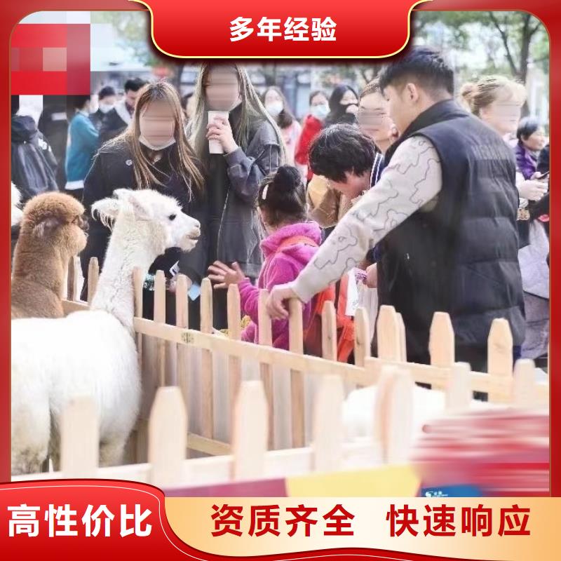 动物马戏团表演出租活动案例