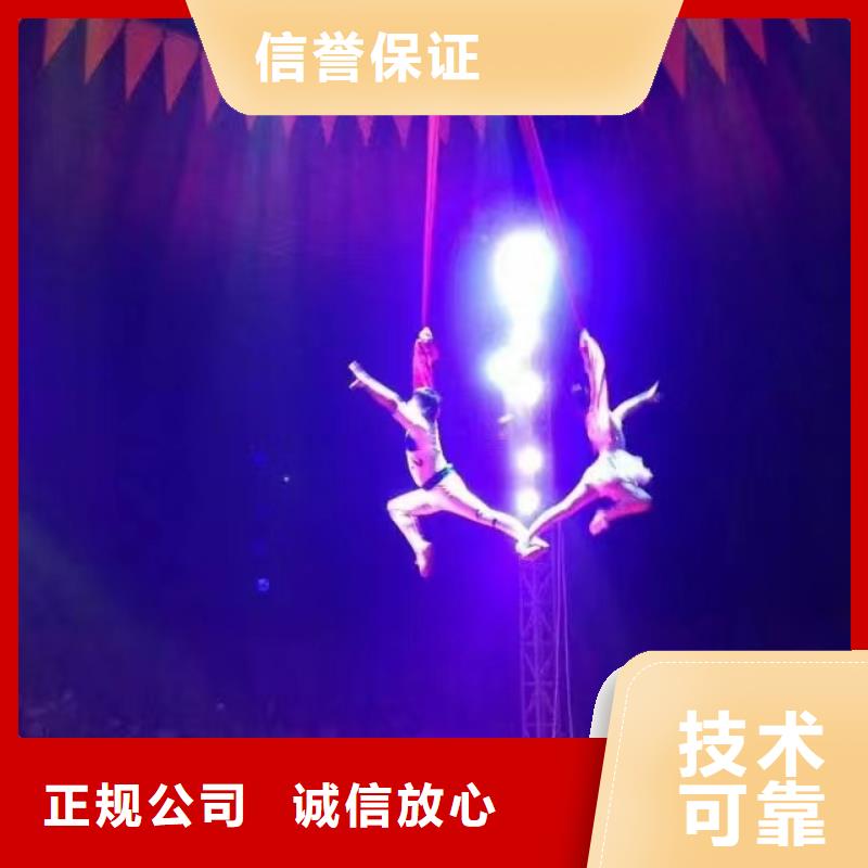 马戏团/羊驼环球飞车表演出租价格低于同行
