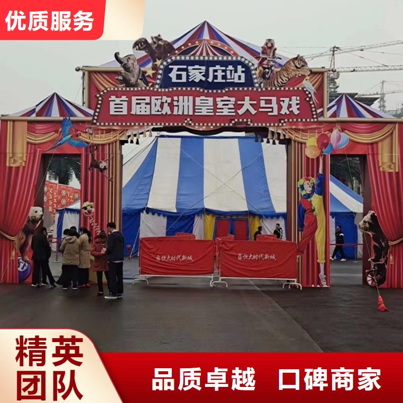 马戏团/羊驼【海狮表演租赁】技术可靠