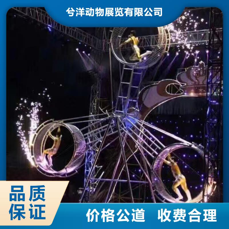 马戏团/羊驼【美人鱼出租演出】高性价比