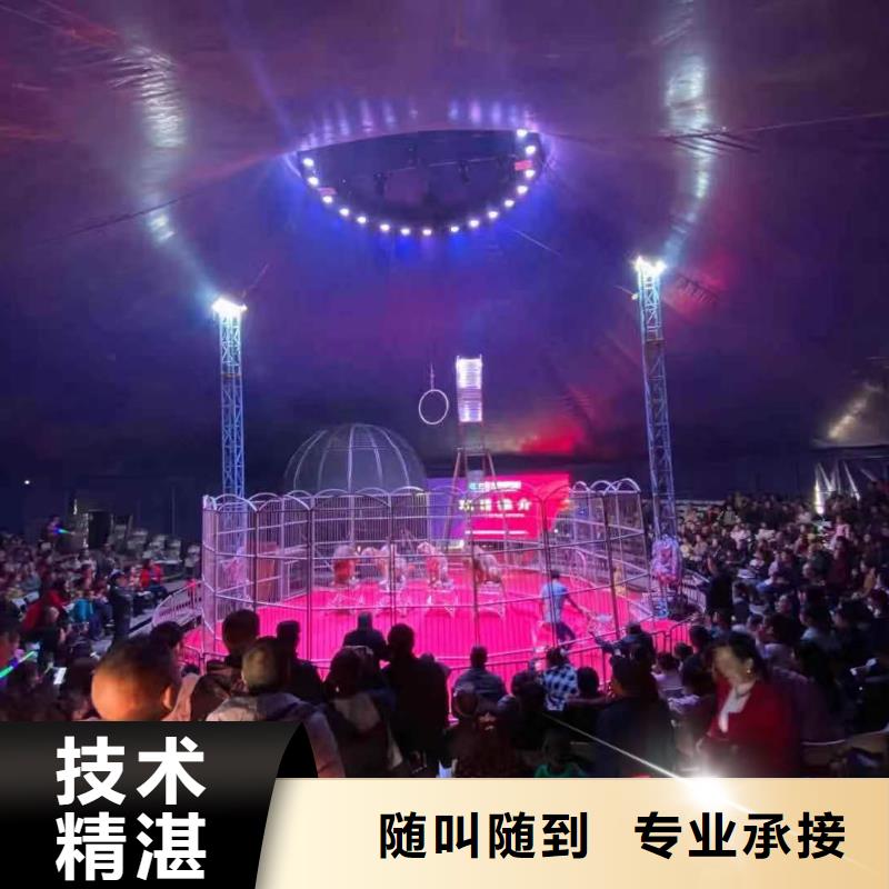 马戏团/羊驼 景区杂技表演品质优