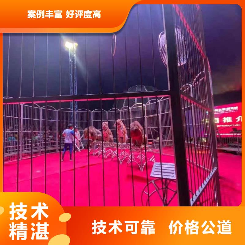 马戏团/羊驼 海豚表演团队