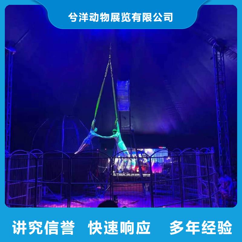 马戏团/羊驼萌宠动物展出租技术精湛