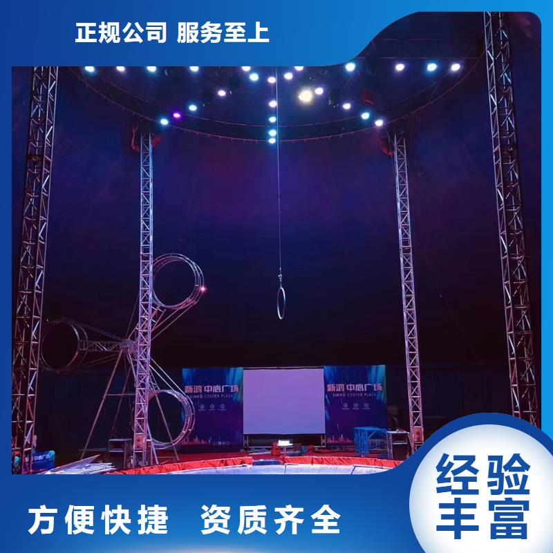 马戏团/羊驼【海狮租赁表演】从业经验丰富