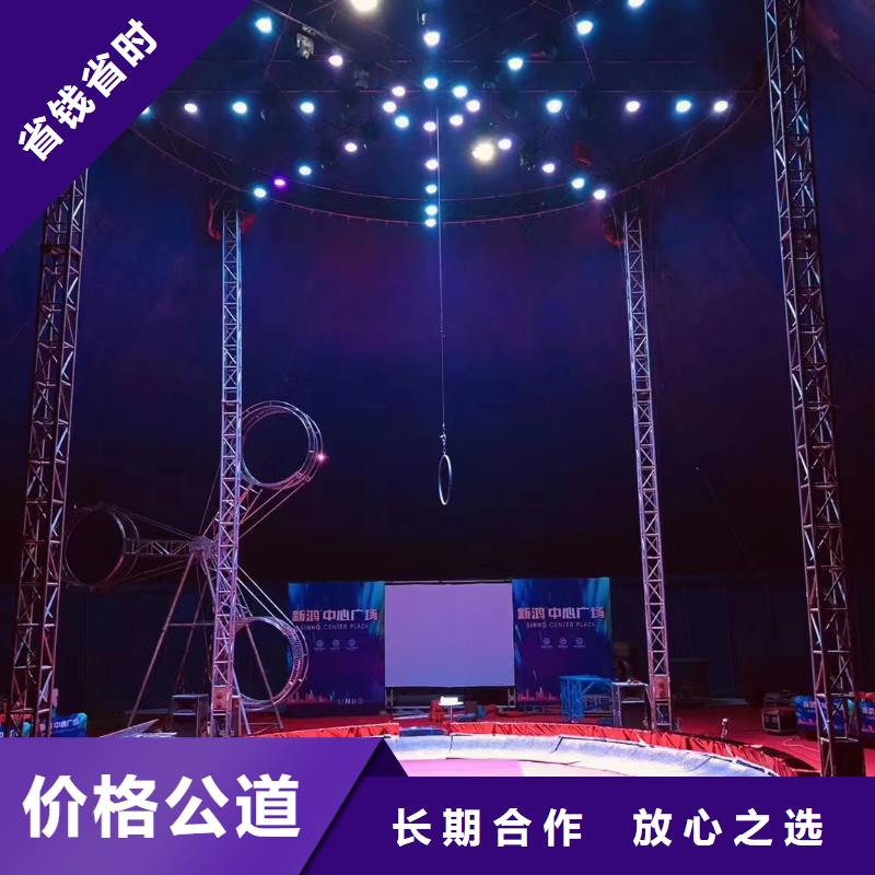 马戏团/羊驼-美人鱼表演精英团队