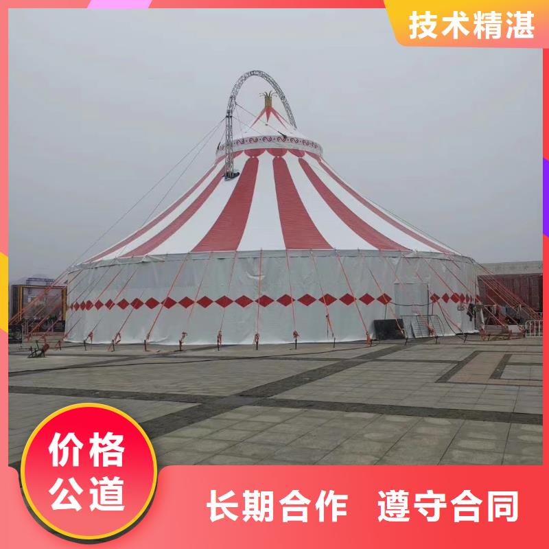马戏团/羊驼【海狮表演】高品质