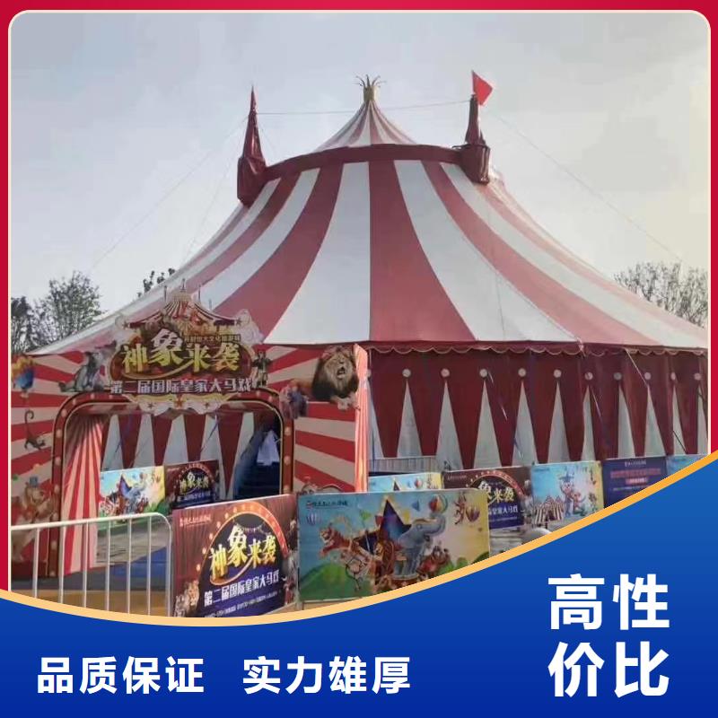 马戏团/羊驼海狮表演出租放心