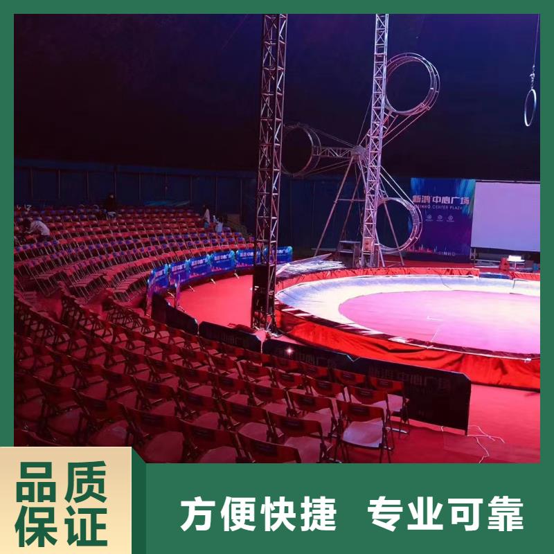 马戏团/羊驼【鹦鹉表演】实力强有保证