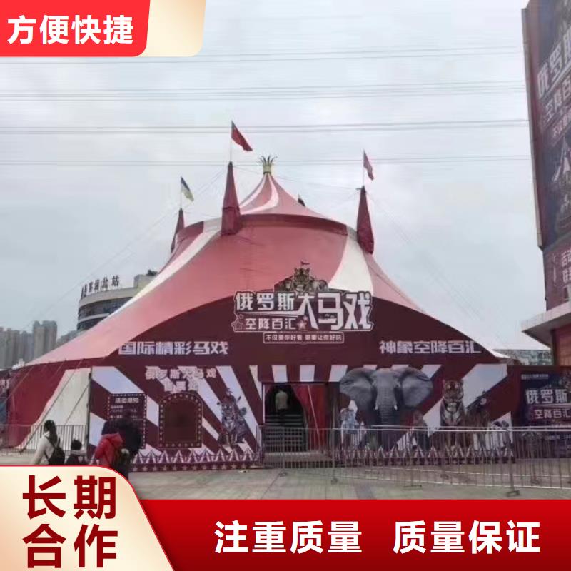 马戏团/羊驼 出租表演海狮正规团队
