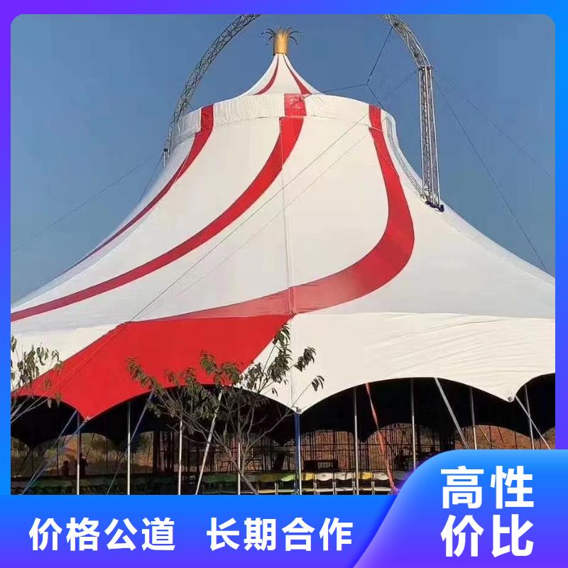 马戏团/羊驼,美人鱼表演信誉保证