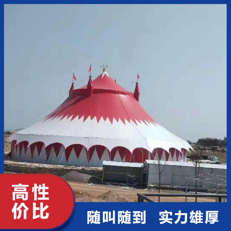 马戏团/羊驼海狮表演出租口碑商家