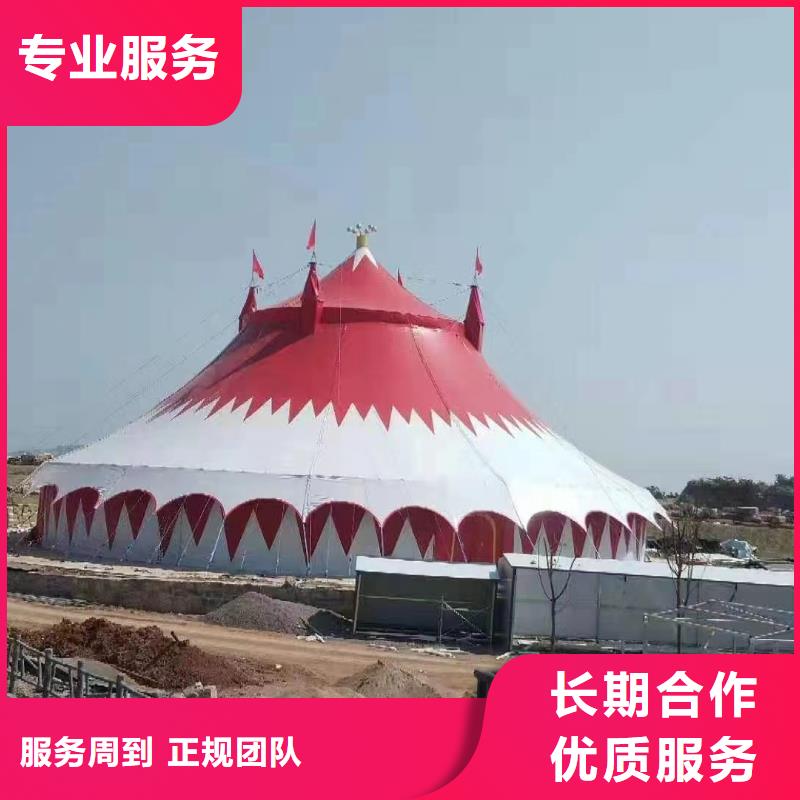 马戏团/羊驼动物表演多年经验